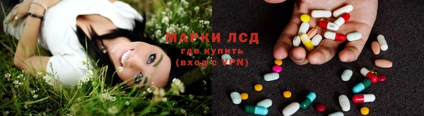 гидропоника Бородино