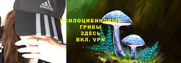 дживик Бугульма
