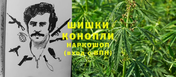 винт Бронницы