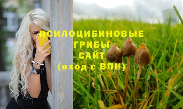 винт Бронницы