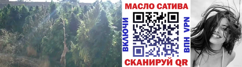 KRAKEN ссылки Армавир shop телеграм Дистиллят ТГК вейп с тгк